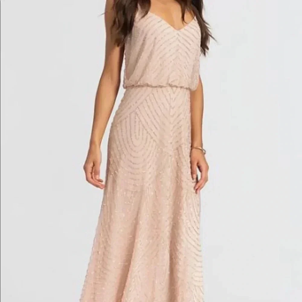 Blush Beaded Adrianna Papell Gown Dress Pink